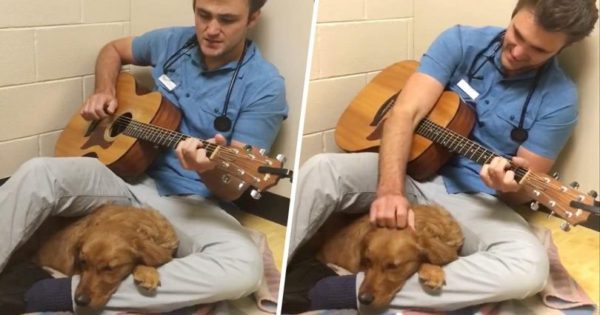 Κτηνίατρος τραγουδάει σε κουτάβι για να το ηρεμήσει πριν το χειρουργείο
