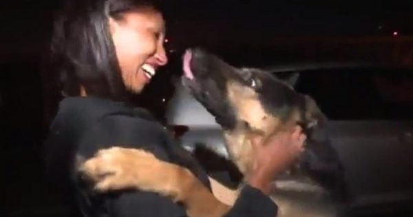 Σκύλος αναγνωρίζει αμέσως τους ανθρώπους που τον έψαχναν μετά από 3 χρόνια [VIDEO]