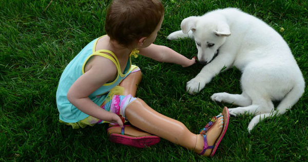 3χρονο κοριτσάκι που έχει χάσει τα πόδια του παίρνει ως δώρο σκυλάκι που του λείπει μια πατούσα