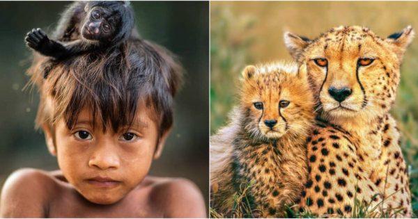 Οι 18 πιο δημοφιλείς φωτογραφίες του National Geographic στο Instagram για το 2017