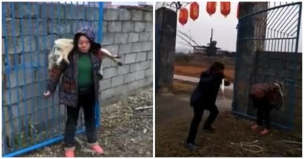 Μαστίγωσαν δημόσια Κινέζα επειδή σκότωσε σκύλο με βελάκια που περιείχαν δηλητήριο