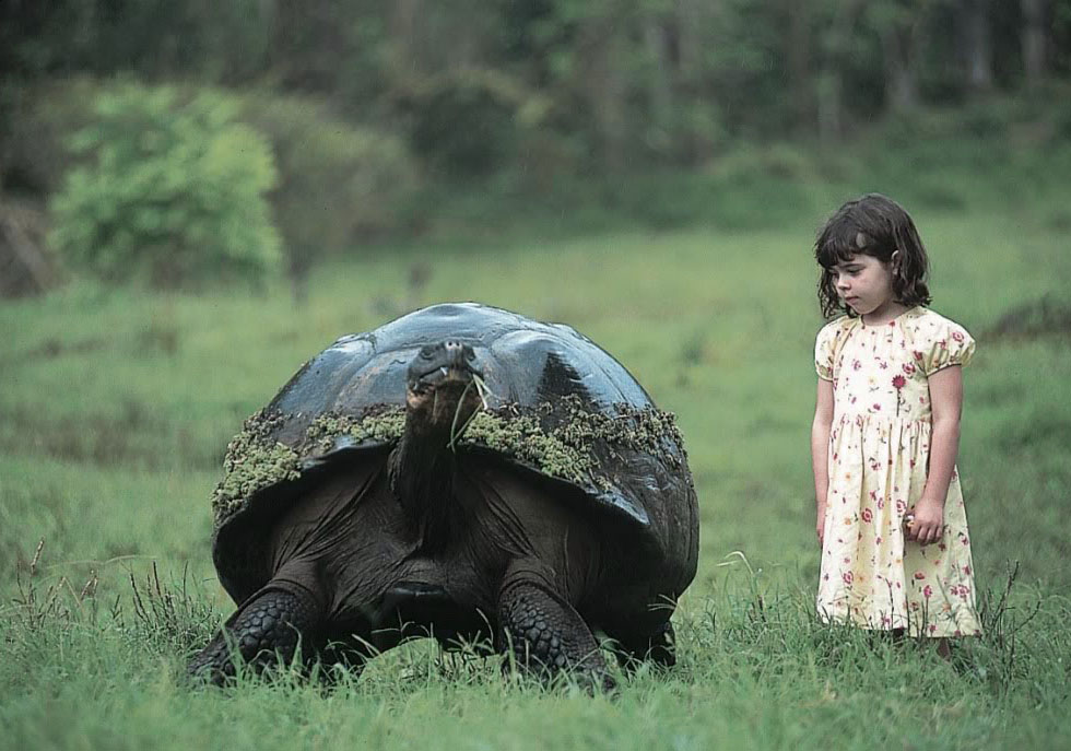 Isabella Lindblad & tortoise