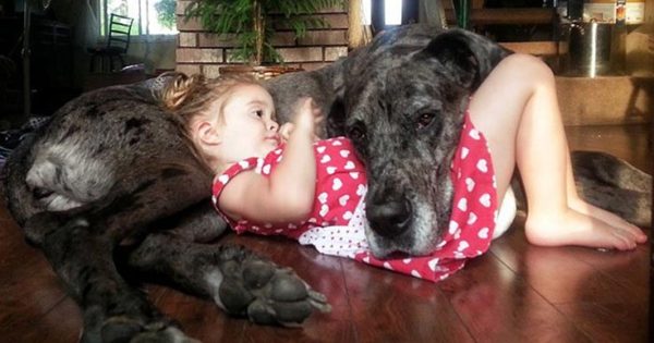 Ο ξεχωριστός δεσμός παιδιών και σκύλων μέσα από φωτογραφίες