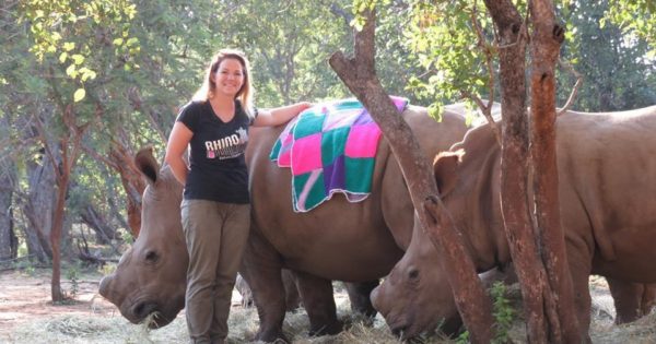 Ορφανοί ρινόκεροι ενθουσιάζονται που κάποιος τους έδωσε νέες κουβέρτες