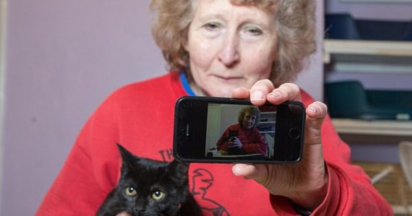 Οι μαύρες γάτες εγκαταλείπονται πιο εύκολα από τους ανθρώπους επειδή δεν βγαίνουν καλές στις selfies, λέει καταφύγιο ζώων