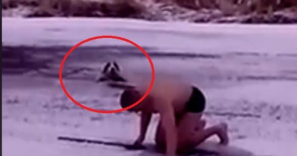 Άνδρας σώζει σκύλο που πνιγόταν σε παγωμένη λίμνη! (vid