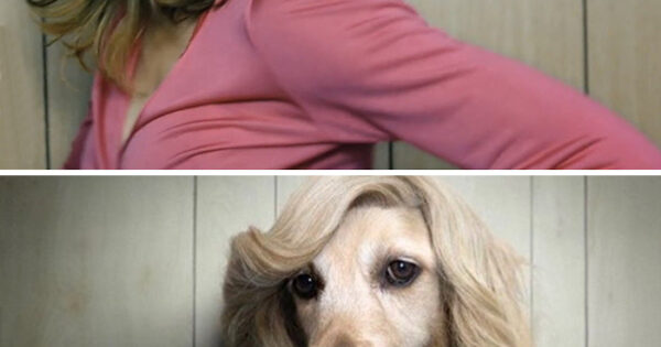 Φωτογράφος ντύνει το σκύλο του σαν τη Μαντόνα και φτιάχνει ξανά τα εξώφυλλα των δίσκων της