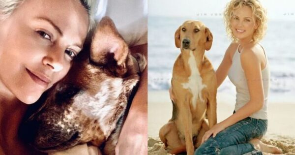 Συγκινεί Η Charlize Theron: «Οι Μόνοι Μου Φίλοι Ήταν Τα Ζώα Όταν Ήμουν Παιδί»
