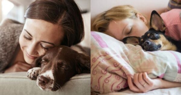 Τα 6 Οφέλη Για Την Υγεία Σας Αν Κοιμάστε Μαζί Με Τον Σκύλο Σας