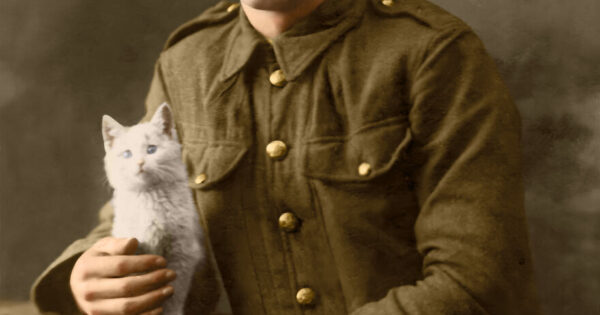 Ημέρα ενθύμησης: Έκανα έγχρωμες 14 φωτογραφίες ζώων που υπηρέτησαν στον πρώτο και δεύτερο Παγκόσμιο Πόλεμο