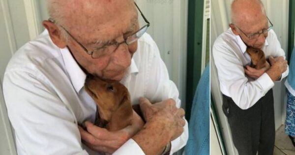 Παππούς Με Το Σκυλάκι Του Στέλνουν Δυνατό Μήνυμα Αγάπης Και Συγκινούν