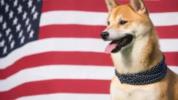 Σκυλιά στην πολιτική: 6 από αυτά και σε ποιους ανήκαν