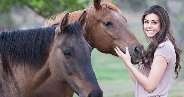 5 επιστημονικοί τρόποι για να δημιουργήσετε ένα σταθερό δεσμό με το άλογό σας