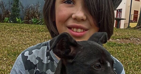 Αυτό το εντεκάχρονο αγόρι από τη Βραζιλία κάνει κάθε Σάββατο μπάνιο αδέσποτα σκυλιά για να αυξήσει τις πιθανότητές τους να βρουν σπίτι