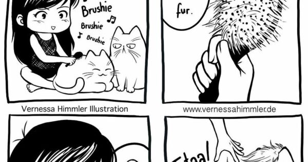 19 νέα αστεία κόμικς από τη Βανέσσα Χίμλερ που απαθανατίζουν τη ζωή της με δύο παχουλές γάτες