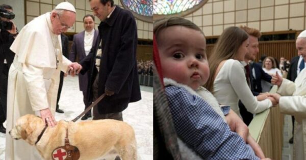 Απάντηση Σε Πάπα Στην Άποψη Πως «Όσοι Υιοθετούν Ζώα Αντί Παιδιών Έχουν Ένα Συγκεκριμένο Είδος Εγωισμού»